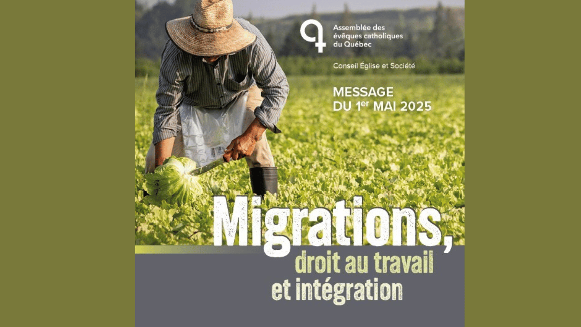 Migrations, droit au travail et intégration: communiqués et appel à la sensibilisation (AECQ)