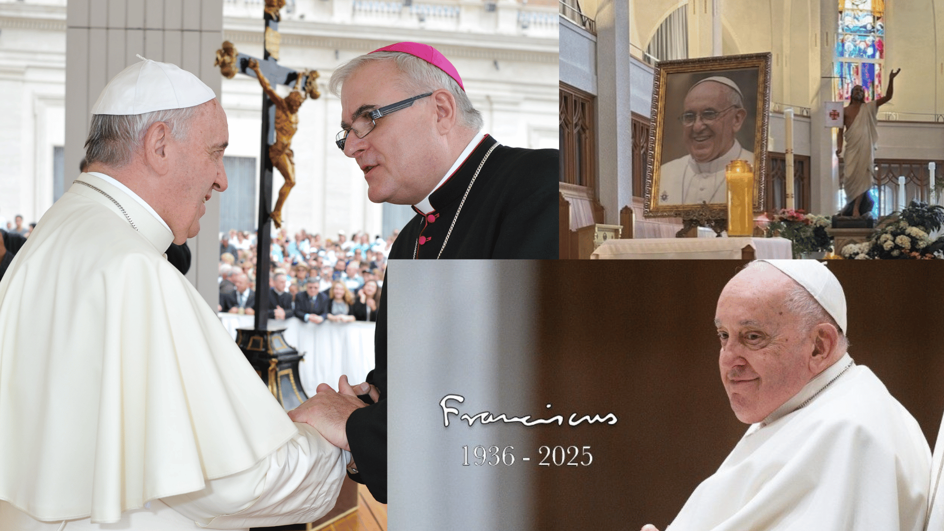 Décès du pape François : communiqués, revue de presse et hommage au Saint-Père
